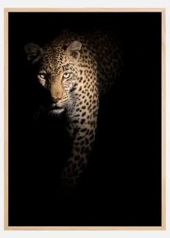 Out of the darkness Plakat (21x29.7 cm (A4))