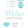 Owl Birth Poster Blue (21x29,7 cm (A4))
