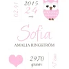 Owl Birth Poster Pink (21x29,7 cm (A4))