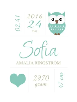 Owl Birth Poster Turquoise (21x29,7 cm (A4))