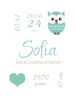 Owl Birth Poster Turquoise (21x29,7 cm (A4))