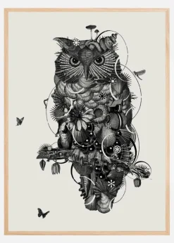 Owl Plakat (21x29.7 cm (A4))