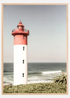 Oyster Box Plakat (21x29.7 cm (A4))