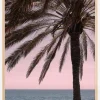Palm Beach I Plakat (21x29.7 cm (A4))