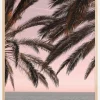 Palm Beach III Plakat (21x29.7 cm (A4))