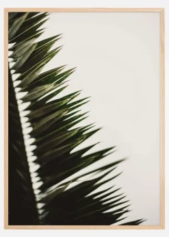 Palm Branches Plakat (21x29.7 cm (A4))