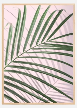 Palm Leaf Shadow Plakat (21x29.7 cm (A4))