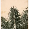 Palm leaves and wall Plakat (21x29.7 cm (A4))