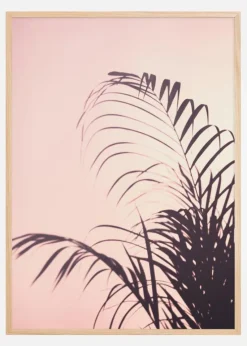 Palm Leaves I Plakat (21x29.7 cm (A4))