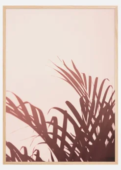 Palm Leaves II Plakat (21x29.7 cm (A4))