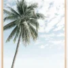 Palm tree at the beach 2 Plakat (21x29.7 cm (A4))