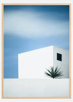 Palm tree Plakat (21x29.7 cm (A4))