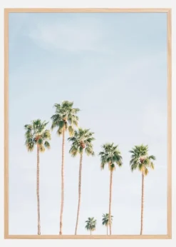 Palm Trees Plakat (21x29.7 cm (A4))