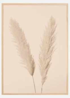 Pampas Grass I Plakat (21x29.7 cm (A4))