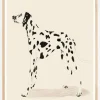 Pandc Dalmation Plakat (21x29.7 cm (A4))