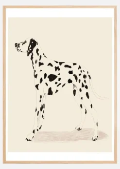 Pandc Dalmation Plakat (21x29.7 cm (A4))