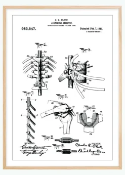 Patenttegning - Anatomisk Skelet III Plakat (21x29.7 cm (A4))