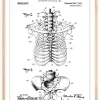 Patenttegning - Anatomisk Skelet II Plakat (21x29.7 cm (A4))