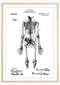 Patenttegning - Anatomisk Skelet I Plakat (21x29.7 cm (A4))