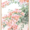 Peach Bougainvillea Plakat (21x29.7 cm (A4))