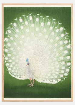 Peacock Plakat (21x29.7 cm (A4))