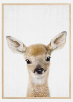 Peekaboo Baby Deer Plakat (21x29.7 cm (A4))