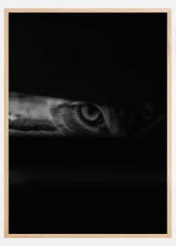 Peeking cat Plakat (21x29.7 cm (A4))