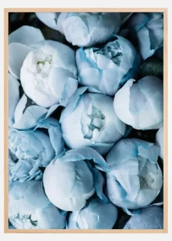 Peonies Plakat (21x29.7 cm (A4))