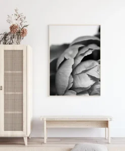 Peony B&W Plakat (21x29.7 cm (A4))