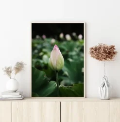 Peony Field Plakat (21x29.7 cm (A4))