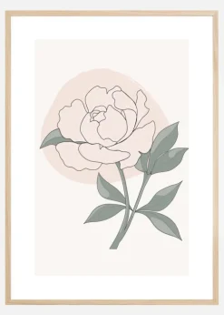 PEONY Plakat (21x29.7 cm (A4))
