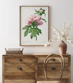 Peony Plakat (21x29.7 cm (A4))