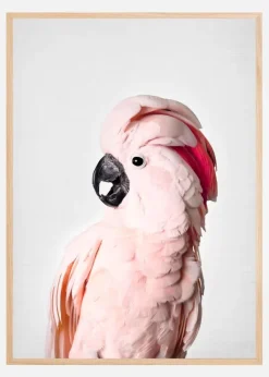 Pink Cockatoo Plakat (21x29.7 cm (A4))