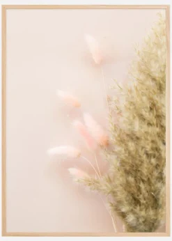 Pink Fluff Plakat (21x29.7 cm (A4))