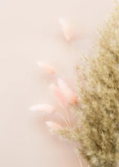 Pink Fluff Plakat (21x29.7 cm (A4))