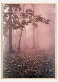 Pink Forrest Plakat (21x29.7 cm (A4))