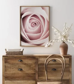 Pink Rose Plakat (21x29.7 cm (A4))
