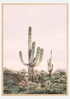 Pink Saguaro Plakat (21x29.7 cm (A4))