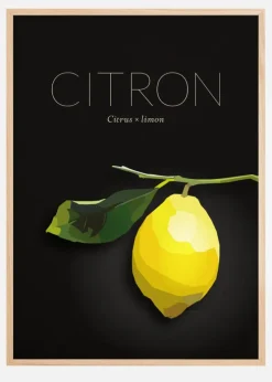 Plakat (21x29.7 cm (A4))