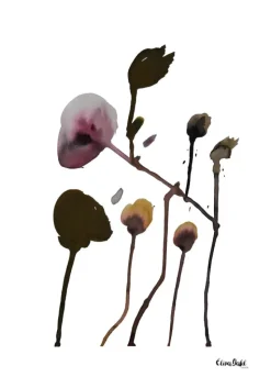 Plants II Plakat (21x29.7 cm (A4))