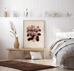 Plectranthus Scutellarioides II Plakat (21x29.7 cm (A4))