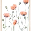Poppies Plakat (21x29.7 cm (A4))