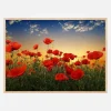 Poppies Plakat (21x29.7 cm (A4))