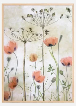Poppy Meadow Plakat (21x29.7 cm (A4))