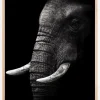 Portrait Elephant Plakat (21x29.7 cm (A4))