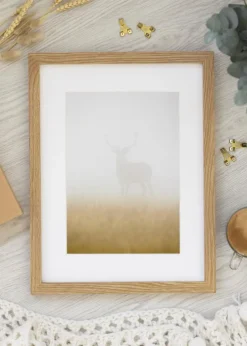 Premium by BGA Eg 42x59,4 cm (A2)