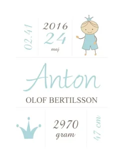 Prince Birth Poster Turquoise (21x29,7 cm (A4))