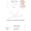 Princess Birth Poster Pink (21x29,7 cm (A4))