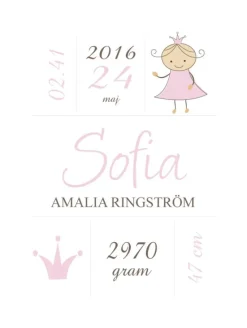 Princess Birth Poster Pink (21x29,7 cm (A4))