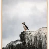 Puffin Plakat (21x29.7 cm (A4))